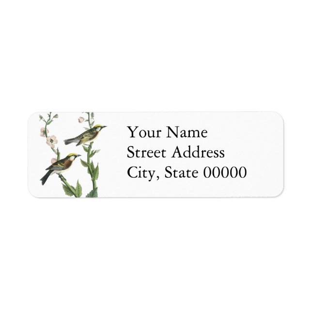 Chestnut-sided Warbler, John Audubon Return Address Label (Front)
