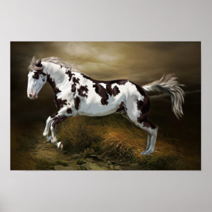 Chestnut Splash Frame Tovero Paint Horse Poster