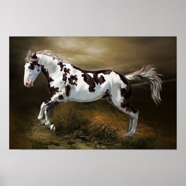 Chestnut Splash Frame Tovero Paint Horse Poster (Front)