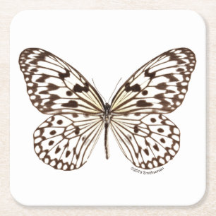 Chestnut Tiger Butterfly Square Paper Coaster