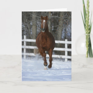 Chestnut Trakehner Stallion In The Snow Card