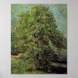 Chestnut Tree in Blossom, Van Gogh Fine Art Poster