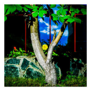 Chestnut Tree Poster