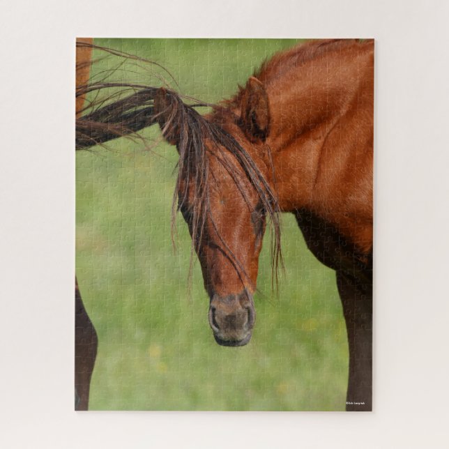 Chestnut Warmblood Foal with Tail On Head Jigsaw Puzzle (Vertical)