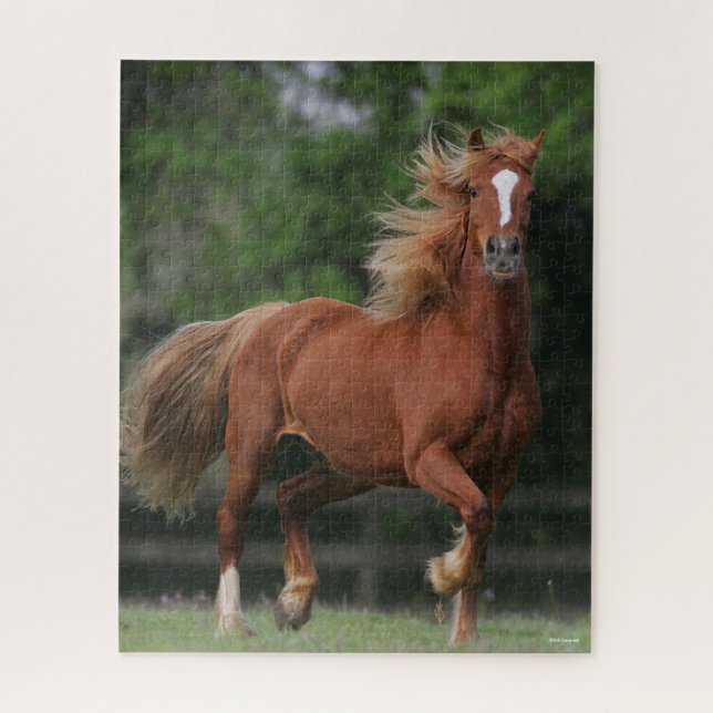 Chestnut Welsh Pony Mane and Tail Flowing Jigsaw Puzzle (Vertical)