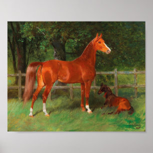Chestnut with Foal in the Meadow Hans Haag Poster