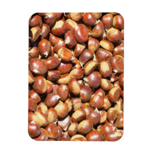 chestnuts-211079 chestnuts sweet chestnuts delici magnet