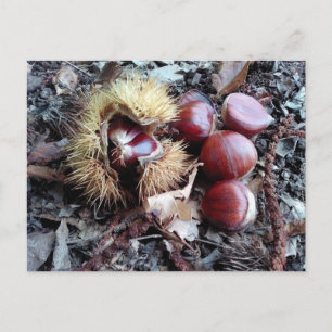 Chestnuts card