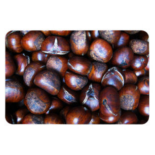 Chestnuts Magnet