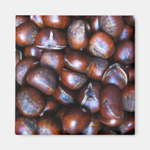 Chestnuts Magnet