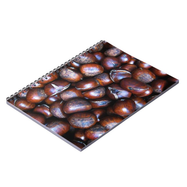 Chestnuts Notebook (Left Side)