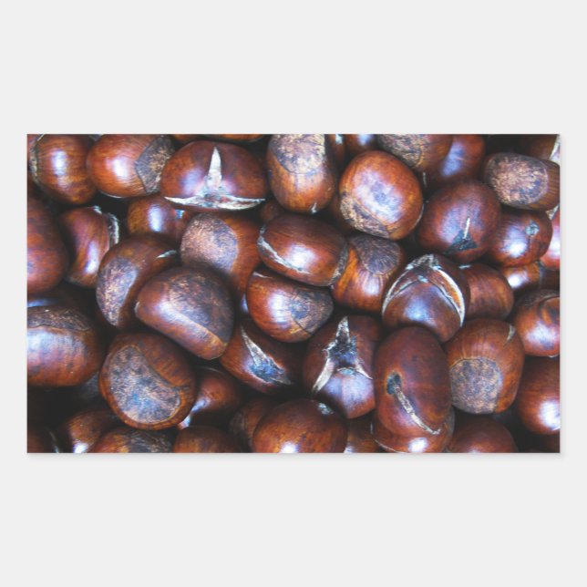 Chestnuts Rectangular Sticker (Front)
