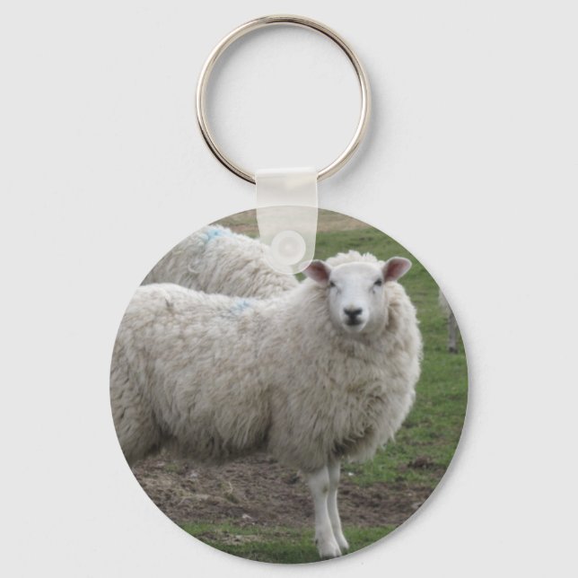 Cheviot sheep key ring (Front)