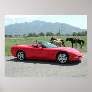Chevrolet Corvette Convertible C5 Poster