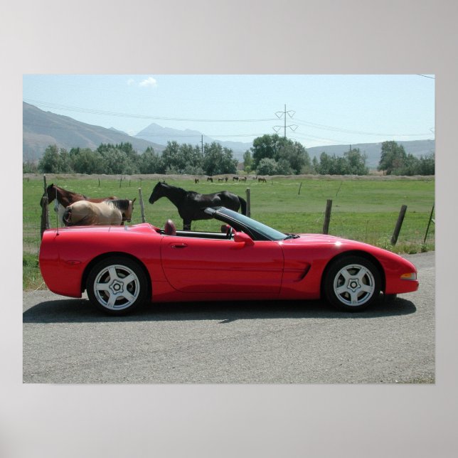 Chevrolet Corvette Convertible C5 Poster (Front)