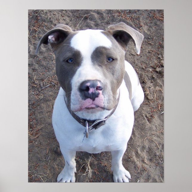 Chevy Poster (Front)