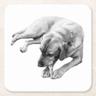 Chew Break Square Paper Coaster