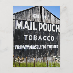 Chew Mail Pouch Tobacco Barn Postcard