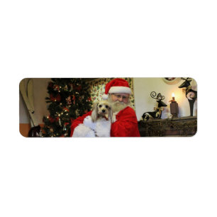 Chewy and Santa Return Address Label