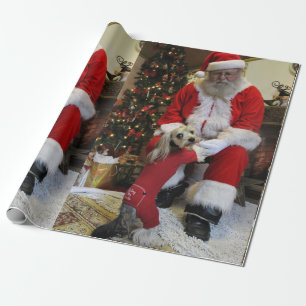 Chewy Finally gets to Meet Santa Wrapping Paper