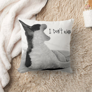 Chewy sez... I don't wanna.  Cushion