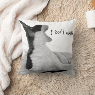 Chewy sez... I don't wanna. Cushion