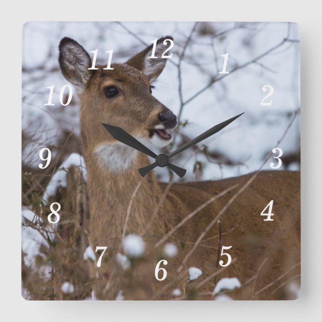 Chewy Wall Clock (Front)