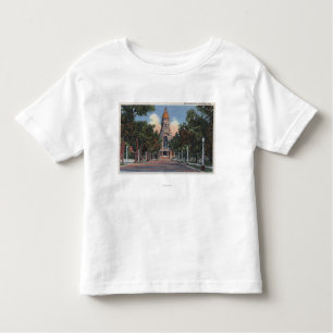 Cheyenne, WY - View of State Capitol and Drivewa Toddler T-Shirt
