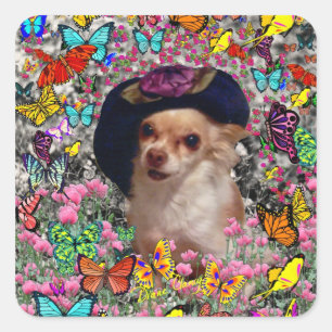 Chi Chi in Butterflies  - Chihuahua Puppy in Hat Square Sticker