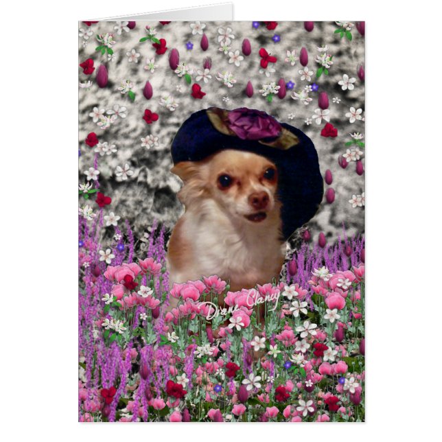 Chi Chi in Flowers  - Chihuahua Puppy in Cute Hat (Front)