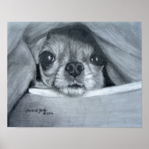 Chi Cuddle Time Poster