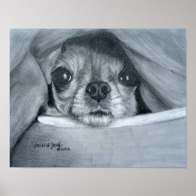 Chi Cuddle Time Poster (Front)