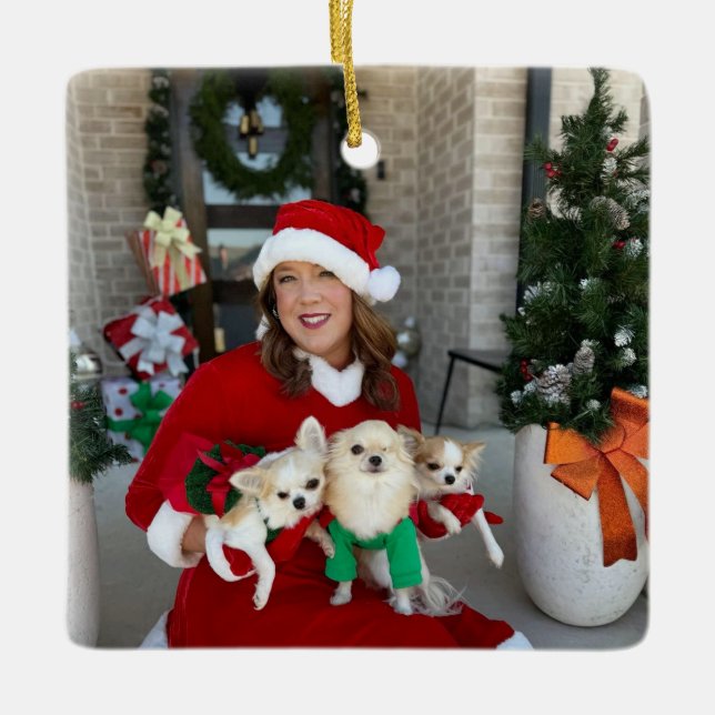 Chi House Rescue Christmas Ornament 2024 (Front)