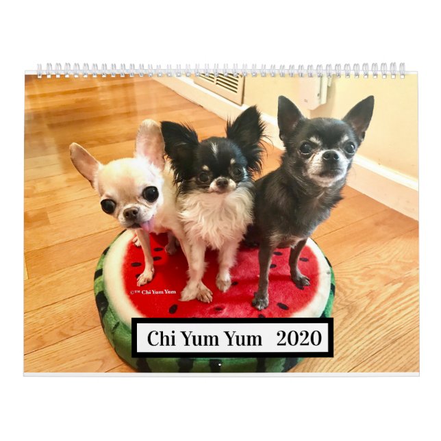 Chi Yum Yum 2020 Calendar (Cover)