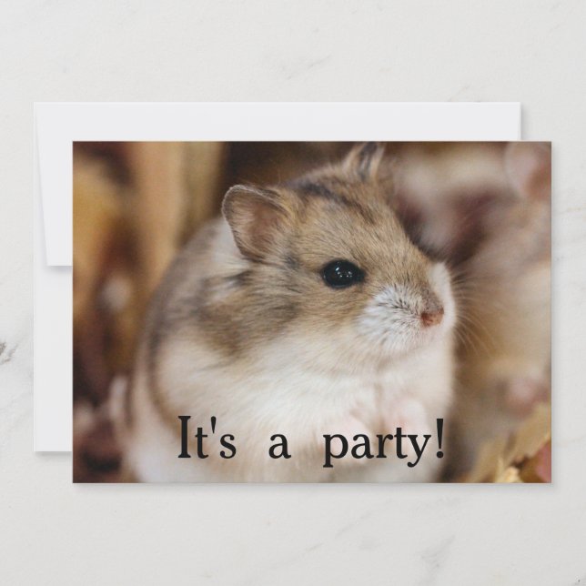 Chibby   party invitations (Front)