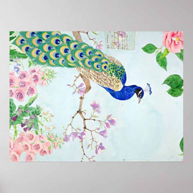 Chibi Peacock | Peacock Lover | Peacock Lover Art Poster (Front)