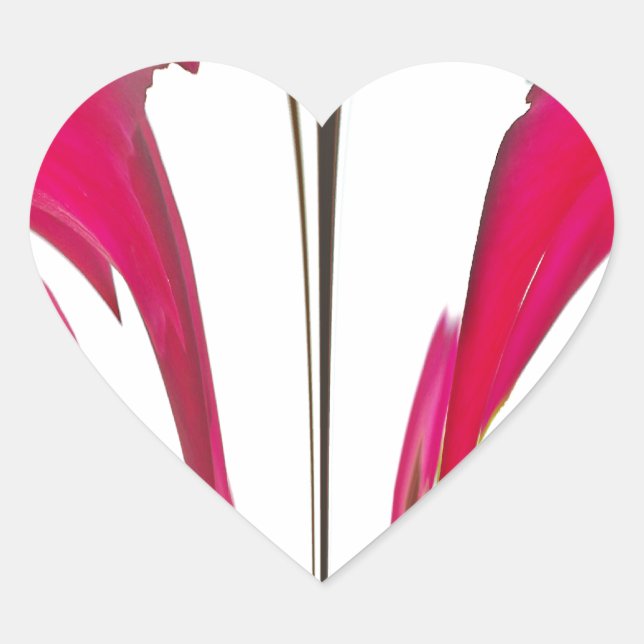 Chic amazing Red rose under the white sky.png Heart Sticker (Front)