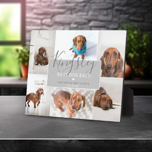 Chic Best Dog Ever   Photo Collage Pet Loss Plaque