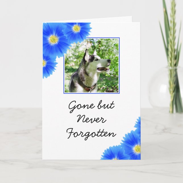 Chic Blue Flowers Pet Photo Sympathy Card (Front)