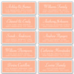 Chic Calligraphy Orange Guest Address Labels<br><div class="desc">Easy to personalise, names and addresses / individual wedding address label stickers for guests. These chic, modern and simple wedding guest address labels feature your guest names in white elegant handwritten script calligraphy and modern typography on a cantaloupe orange background. Simply add your individual wedding guest names and address. Exclusively...</div>