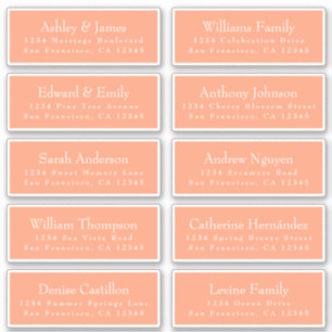 Chic Cantaloupe Orange Guest Address Labels