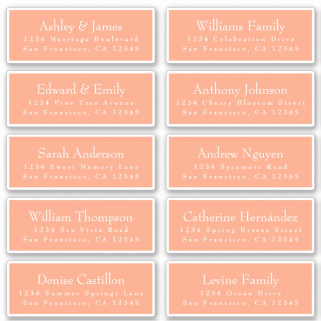 Chic Cantaloupe Orange Guest Address Labels (Front)