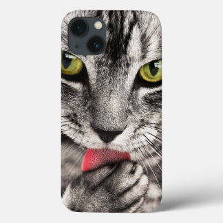 chic cat iPhone 13 case