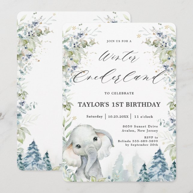 Chic Elephant Winter Onederland 1st Birthday Invitation (Front/Back)