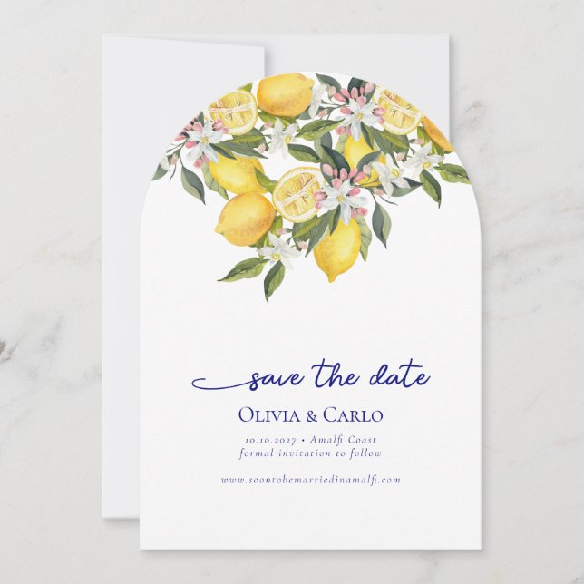 Chic Mediterranean  Photo Wedding Save the Date Invitation (Front)