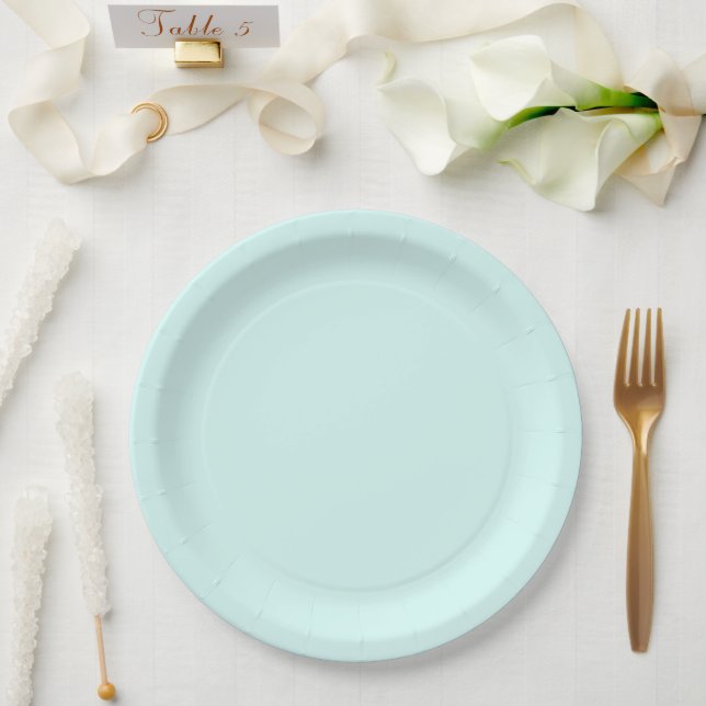 Chic Mint Bridal Shower Paper Plate (Wedding)