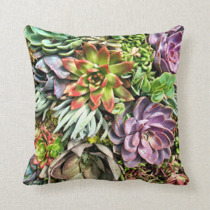 Chic Modern Colourful Succulent photo pattern Cushion