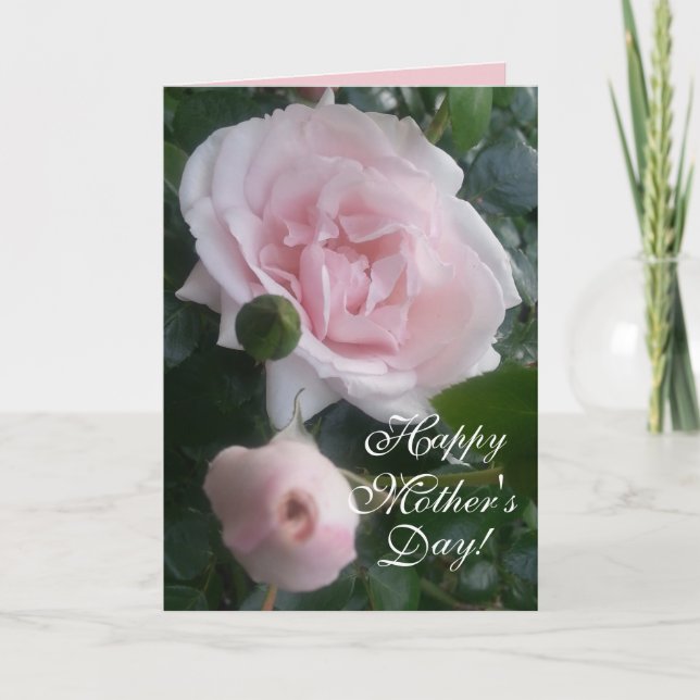 CHIC MOTHER'S DAY CARD_ NEW DAWN ROSES CARD (Front)