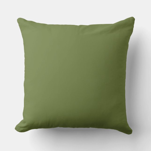 CHIC PILLOW_DARK GREEN/LIGHT GREEN SOLID CUSHION (Front)