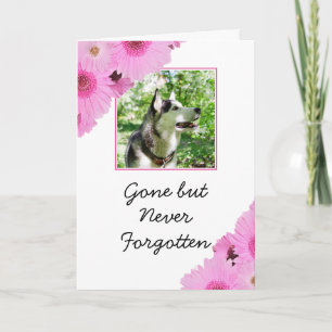 Chic Pink Flowers Pet Photo Sympathy Card
